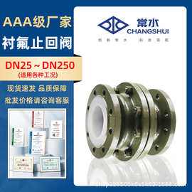 H42F46-16C 铸钢衬四氟止回阀耐酸碱耐腐蚀衬氟立式逆止单向阀