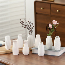 �؟���ɫ�մɻ�ƿ�F�����s�ɻ��廨�����l����Ҿ��b�ˇƷ�[��