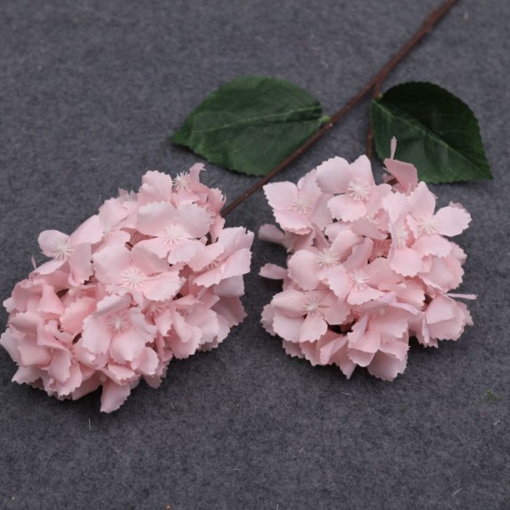 2-head stupa hydrangea
