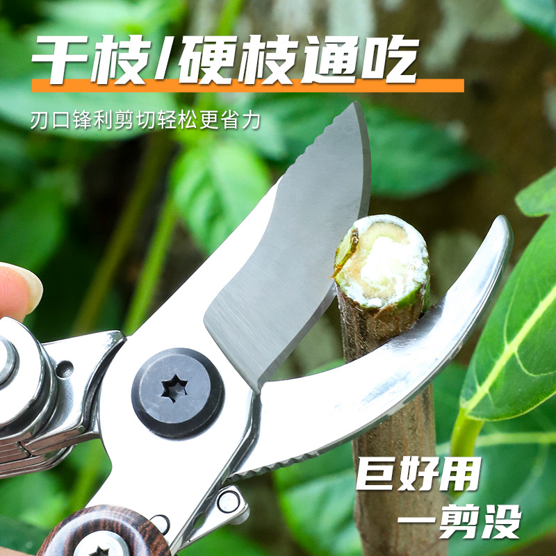 不锈钢花园剪树枝剪修枝剪花木剪园林果树花枝嫁接园艺剪刀工具