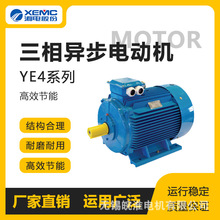 湖南湘潭电机YE4系列15kw二级能效三相异步电动机高效节能CT4 BT4