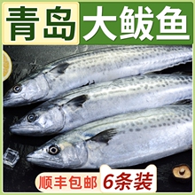 5斤青岛鲅鱼新鲜冷冻鲜活海捕马鲛鱼海鲜鱼深海鱼鲅鱼馅饺子水饺