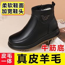 ţ׋ЬƤ2025¿ܛ׷ëƤЬ˶ѥ