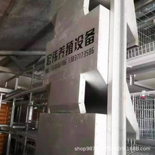 侧料箱式鸡场饲喂设备宏伟厂家全新自动化养鸡设备全自动喂料机