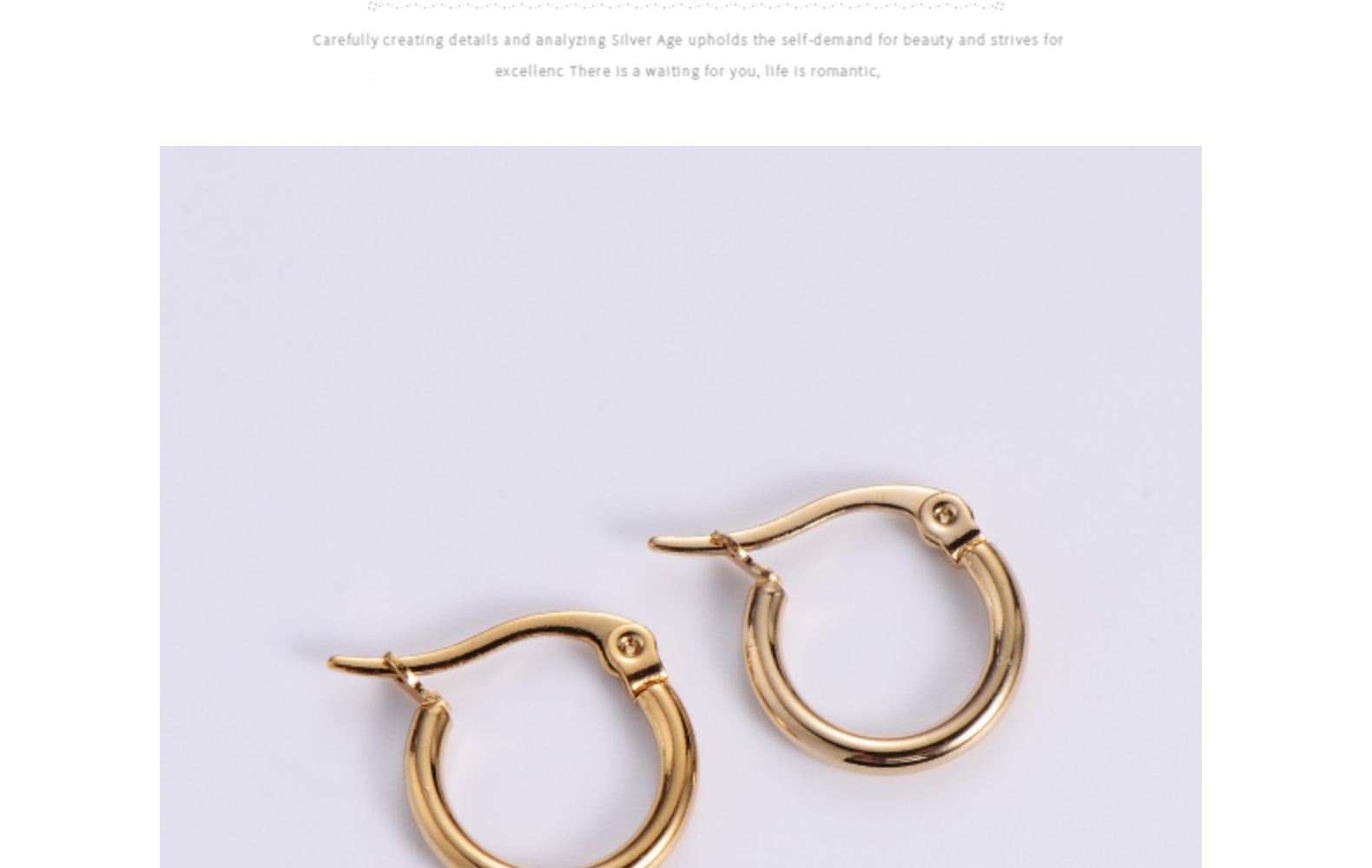 Women'S Gender 1 Pair Simple Style Circle Plating 304 Stainless Steel No Inlaid 18K Gold Plated Stainless Steel Earrings