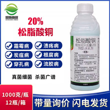 20%��֬���~�������~����˪ù���~�߲���ή���rș������