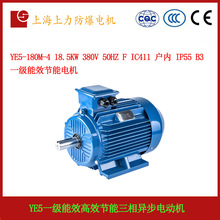 YE5-180M-4 18.5KW 380V 50HZ F IC411IP55 B3  һ����Ч����늙C