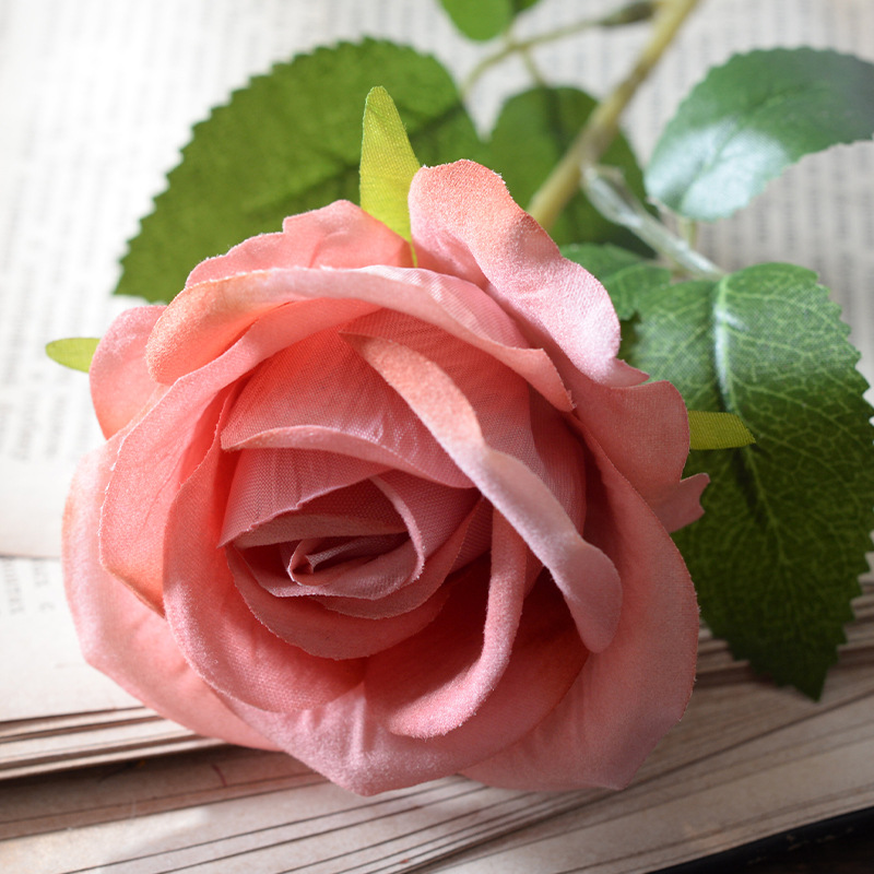 Cappuccino (flannel)