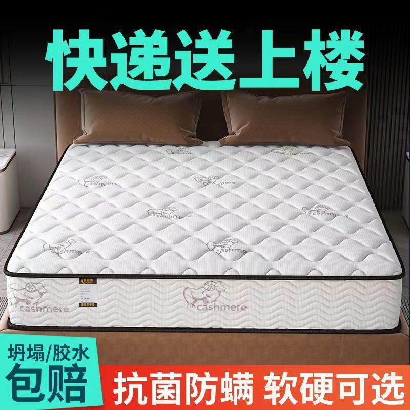 席梦思床垫经济型20CM厚家用弹簧乳胶椰棕软硬两用绢花整网弹簧无|undefined