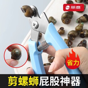 Cut screw butt artifact does not slip field snail lion tail cutting machine special scissors stone snail Jian field snail tail removal artifact
