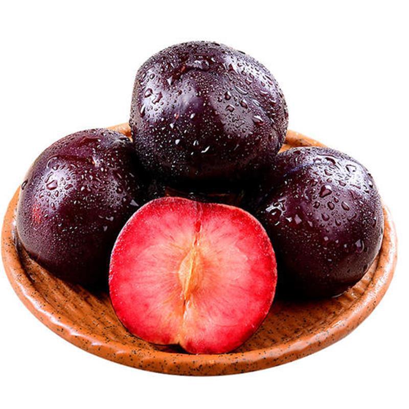 Bloodline Rose Plums from Henan and Shaanxi, Direct Delivery from the Place of Origin, Seasonal Plums with Free Shipping, Fresh Fruit Bloodline Plums, One-Piece Drop Shipping Bloodline Rose Plums from Henan and Shaanxi, Direct Delivery from the Place of Origin, Seasonal Plums with Free Shipping, Fresh Fruit Bloodline Plums, One-Piece Drop Shipping