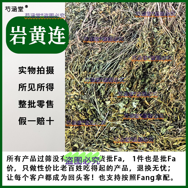 岩黄连云南野生中药材岩胡岩莲菊花黄莲新货无硫