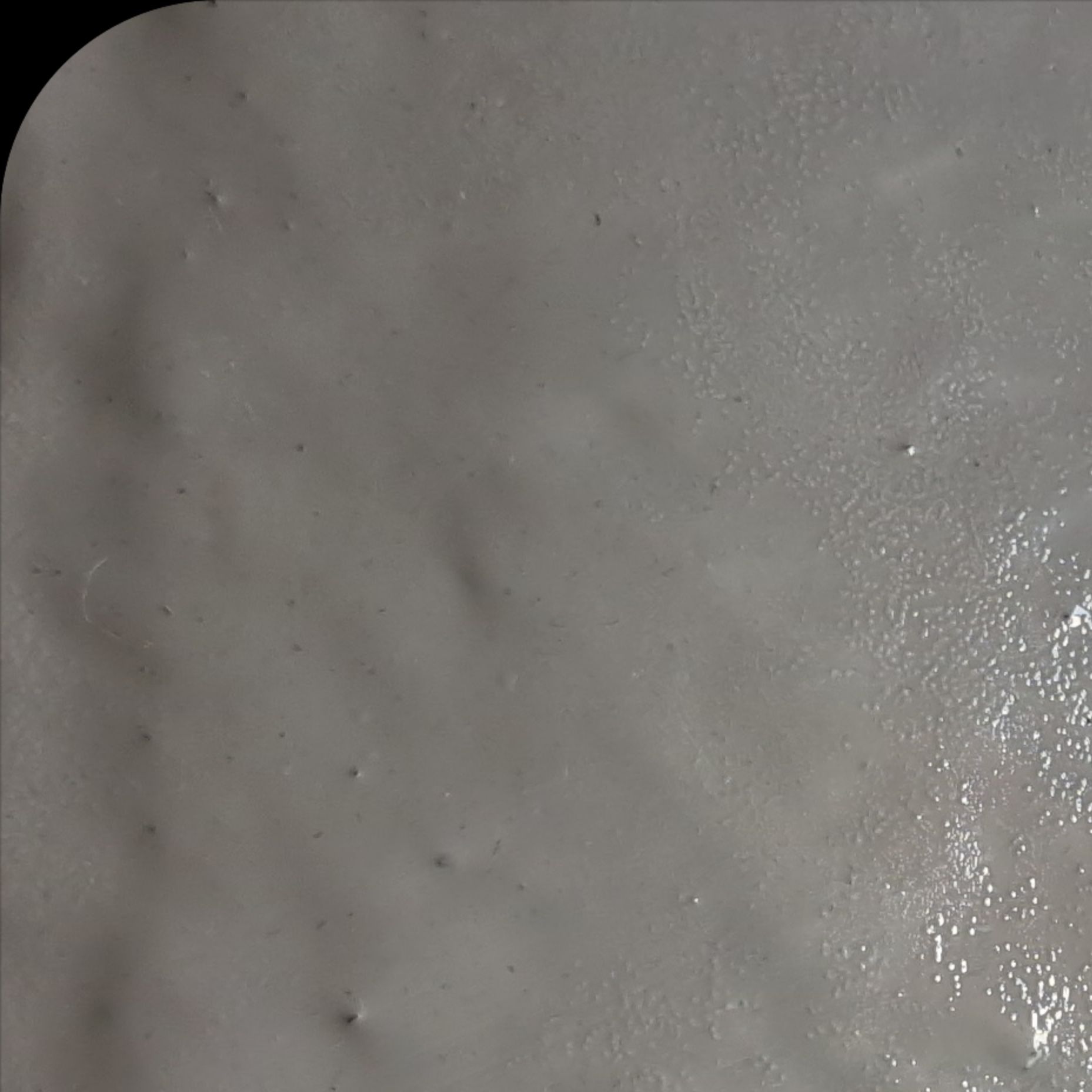 微信图片_202210091104133(1)