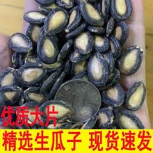 大片生西瓜子黑瓜子中片大板瓜子打瓜新疆特产未加工五香话梅