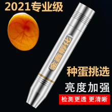 �����յ����鵰���鵰���յ��Ƽ�Ѽ�쵰�ֵ����ledǿ��﮵�����
