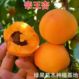 �����ӹ�����޽�����Ʒ�N�ͺ��߮a�������Ә������Եخ���Y����