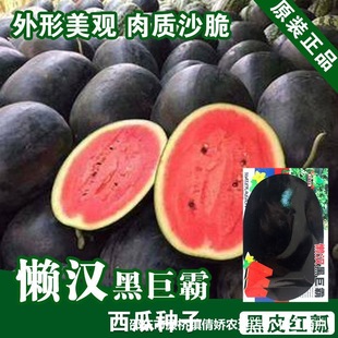 �Нh�ھްԷN�Ӵ�ȫ�����˺�Ƥ�����ѷN��ԭ�b�N�Ӵ�ȫ���l���l