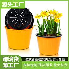 跨境电商货源花边自吸水懒人圆形阳台塑料花盆植物多肉盆栽