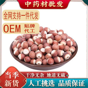 �͌�500g���r�ؑc��؛�ؼ���ș����Ƿ���͌����u�^������޲�״Č�