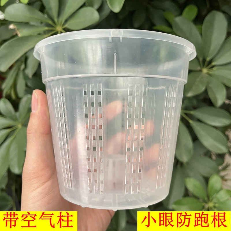 Новый тип горшка для орхидей, дышащий, предотвращает протекание корневой системы, контроль над корнями, высокий пояс, круглый прозрачный цветочный горшок оптом