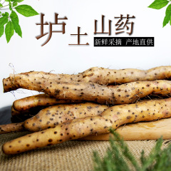 河南焦作温県土鉄棒山薬正統懐山薬鉄棒山薬逸品新鮮山薬卸売り