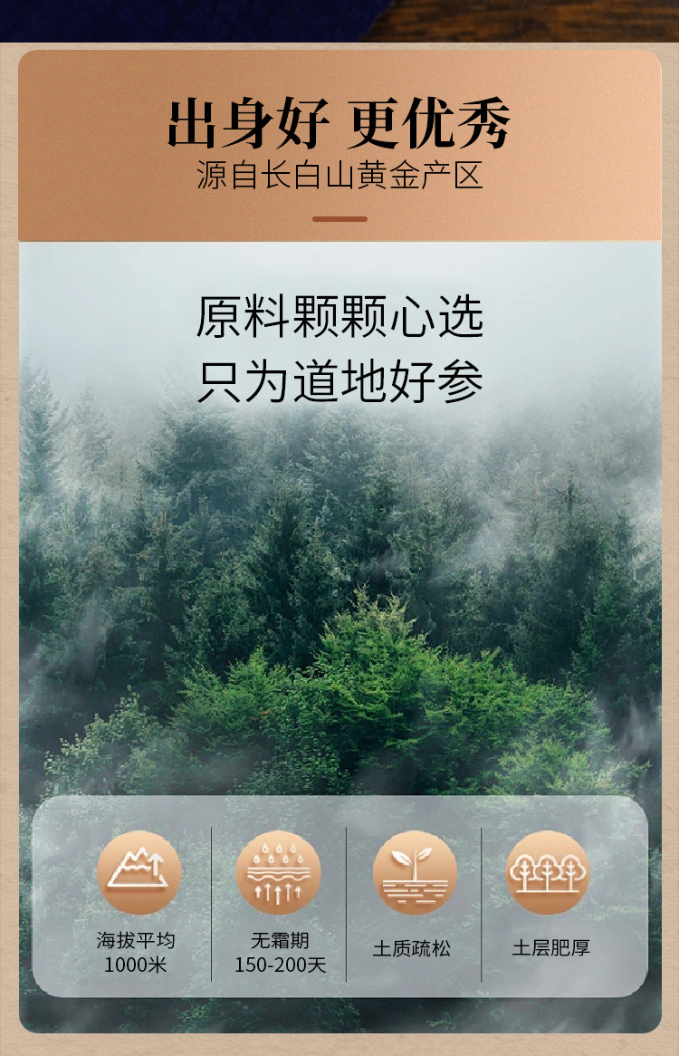 American Ginseng Short Branch Root Dried Whole Root Sections Ji Shi 50g Jilin Grown overview