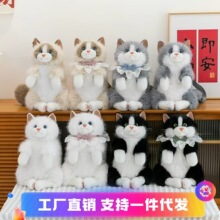 ����؈��ë�q���пɐۺ����Y��؈���������żŮ����ͯ���նY��