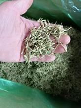 500��ɢ�b��؛���y�����������ɽ��y��Ѭ��������lÓˮ���y��