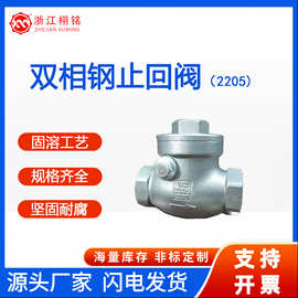 2205双相钢阀门丝扣/螺纹旋启式止回阀逆止单向缓闭式