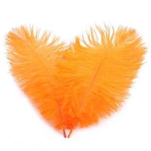 �r�Bë40-45cm ���s�F������[���͏d�����b�Ʒ�����T�������