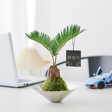 �F��̦�\��|����ֲ���҃Ⱥ��Bֳ�����՚�����ȩ���������辰