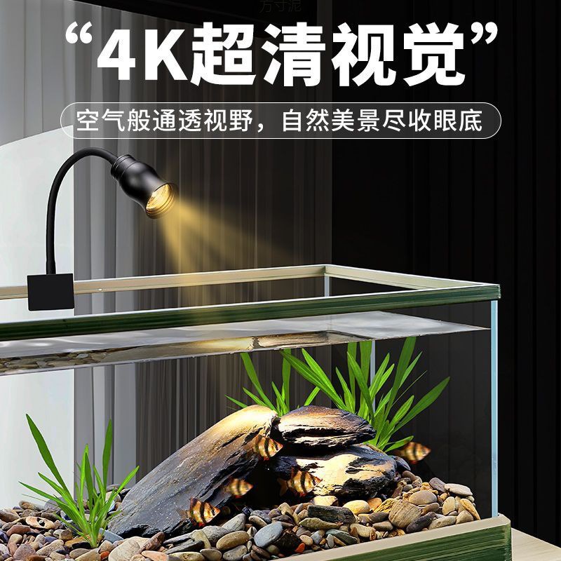 [溪流缸金鱼缸阳台客厅沉浸式养鱼底部排水户外自然景观生态缸批发]