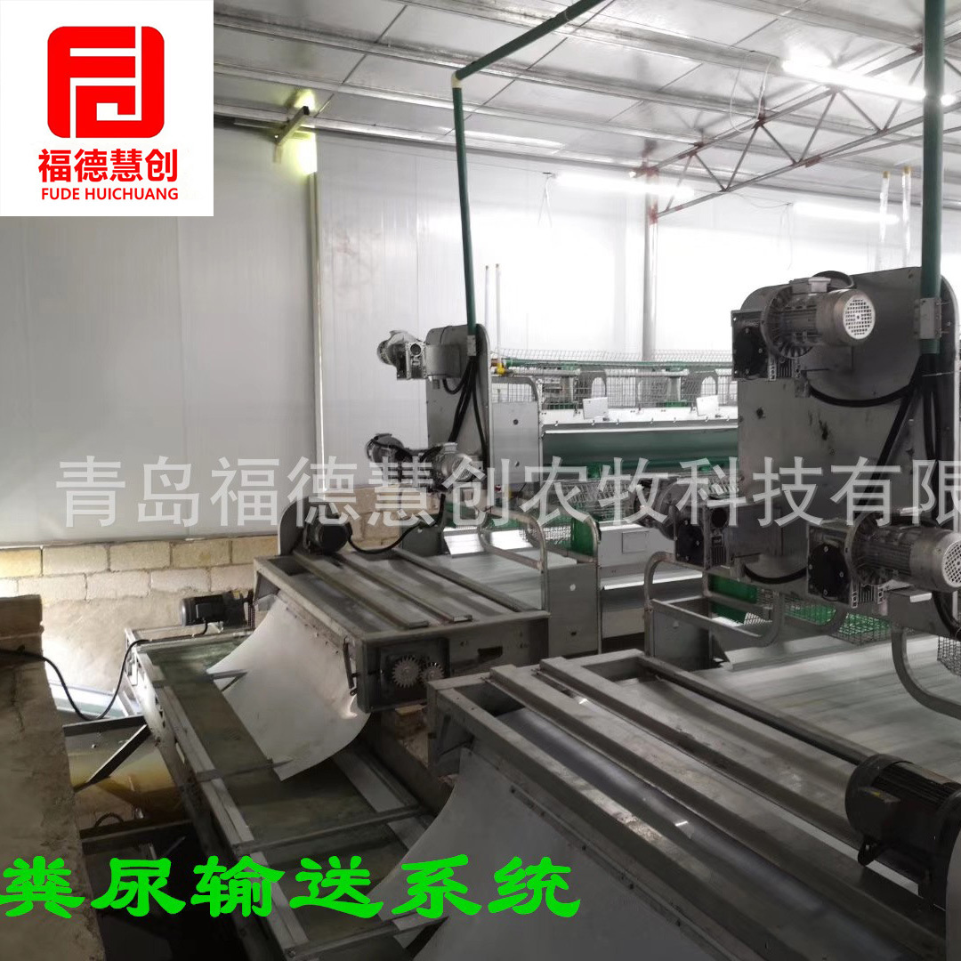 兔养殖设备粪尿输送系统清粪设备兔粪输送系统