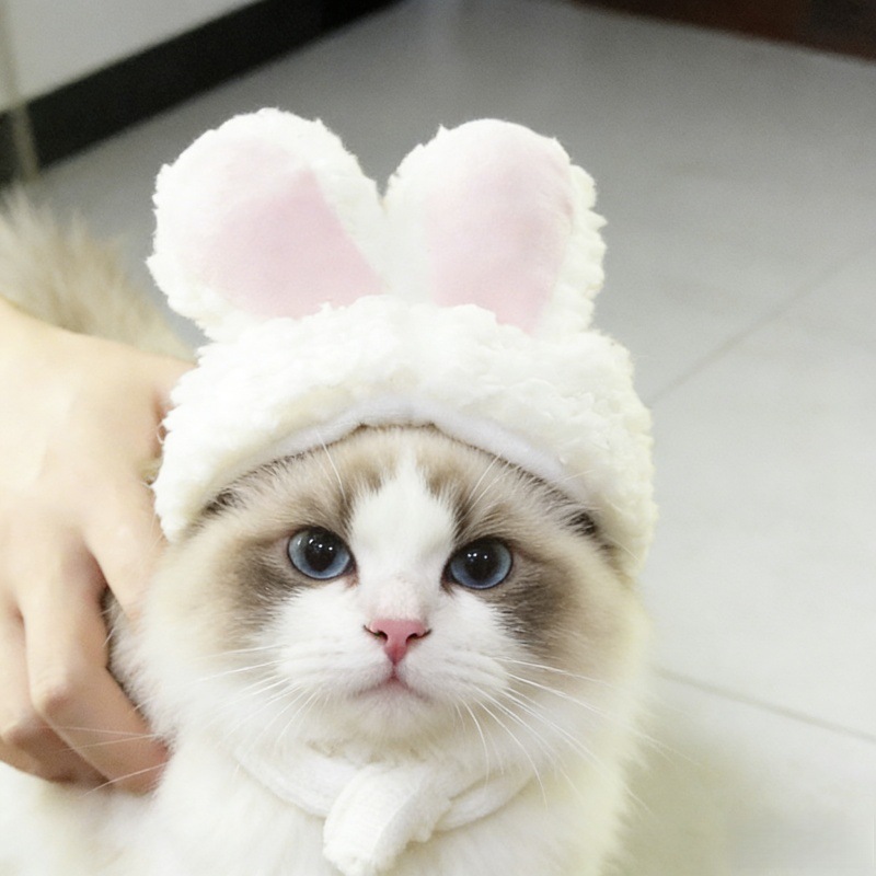 Gato gorra de pelo lindo sombrero travesti perro gorra de pelo para mascotas puede mantener cálido sombrero de mascotas image 4