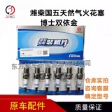Зажигания зажигания подходят для Weichai Guowu Original Gas Gas Engine Slug 1000450457 аксессуаров