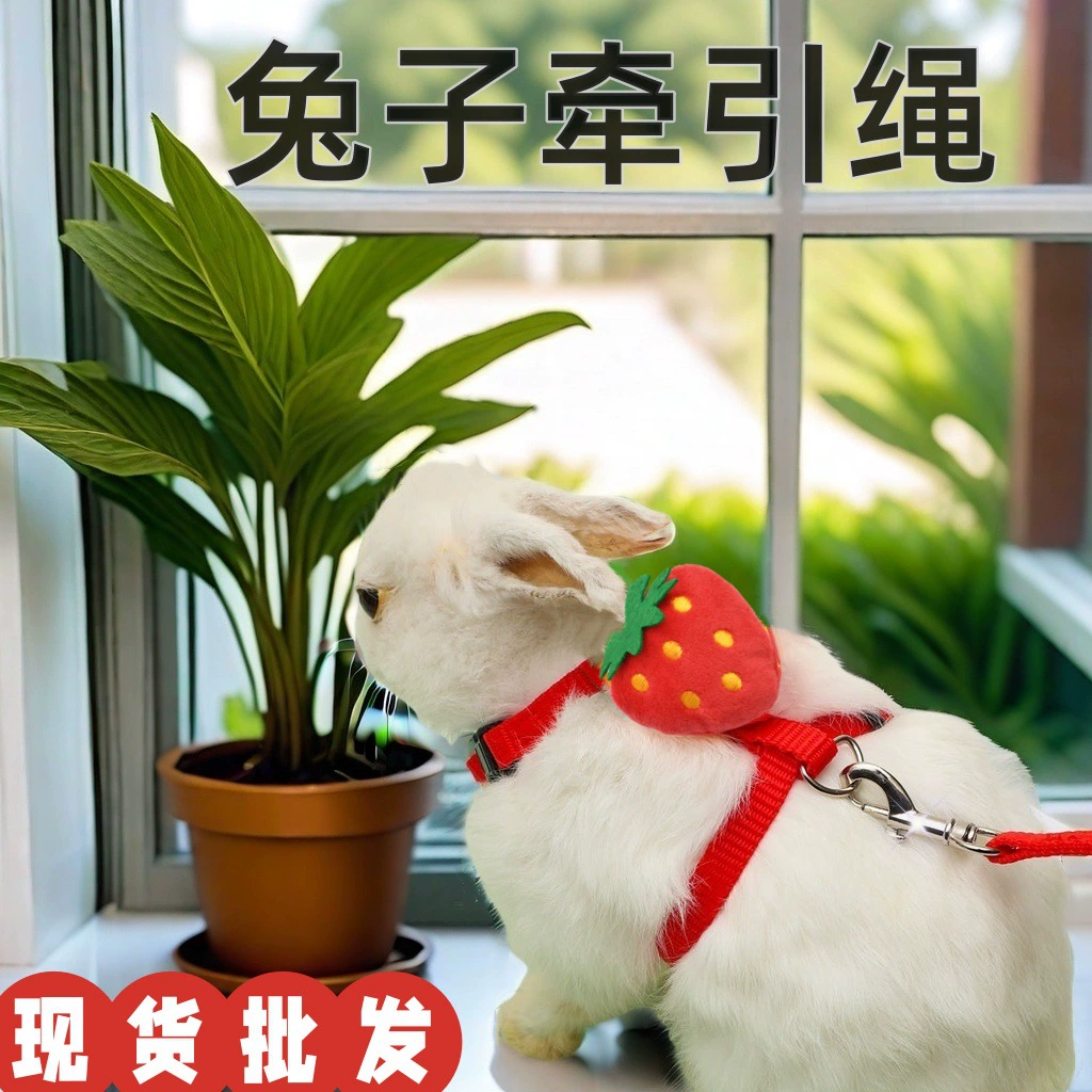 Кролик-поводок Симпатичный тип типа «кошка» кролик грудная клетка для домашних животных
