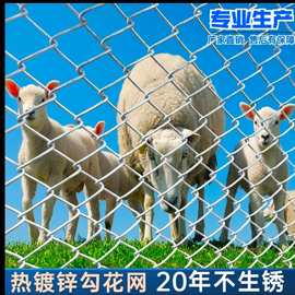 热镀锌菱形拧花编织网煤矿支护网边坡防护用铁丝网球场镀锌勾花网