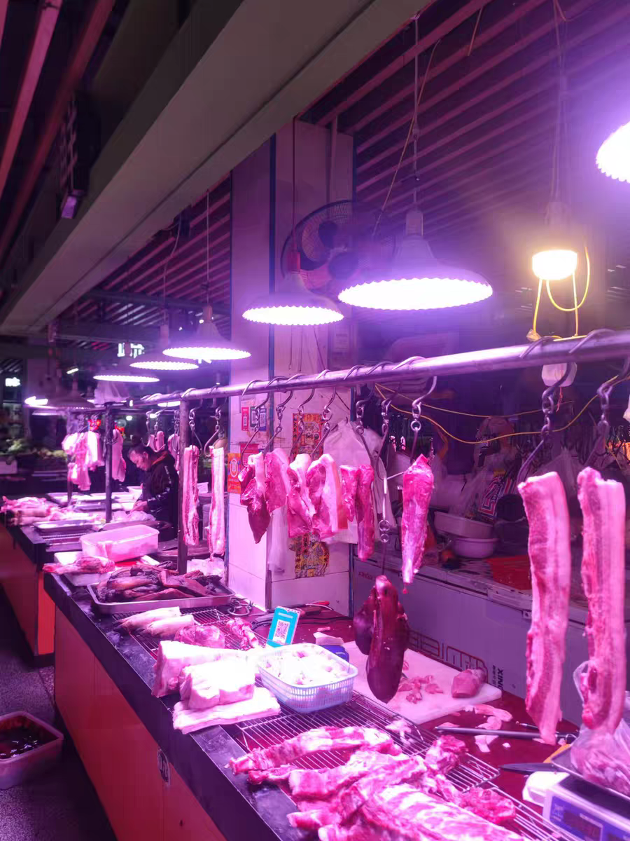 (빨간색 신선한 고기 차가운 백색광 추가) 560 비드 렌즈 100와트(핫 세일) 보이지 않는 빨간색