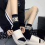 运动中筒字母条纹滑板袜