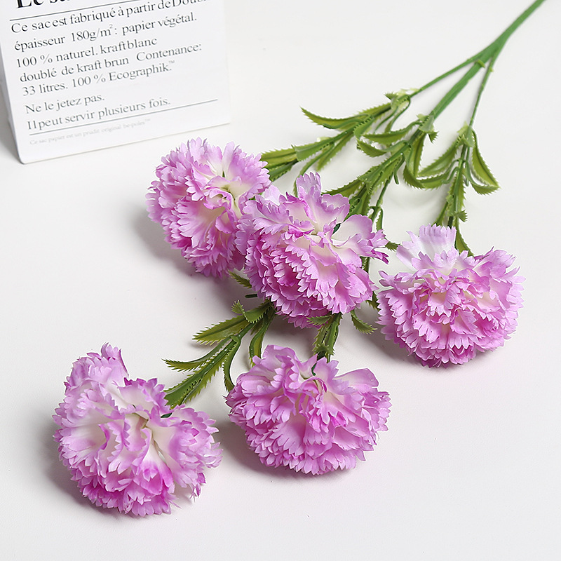 보라색 카네이션 5개