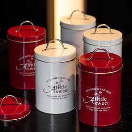 2025新年提手铁盒饼干包装盒烘焙曲奇饼干糖果铁罐年货礼盒圣诞节