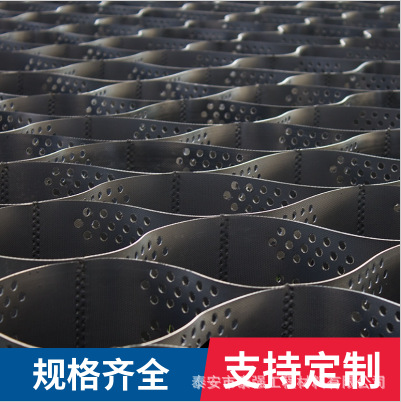 绿化工程 边坡护土种草道路施工园林绿化用高强 土工格室厂家销售