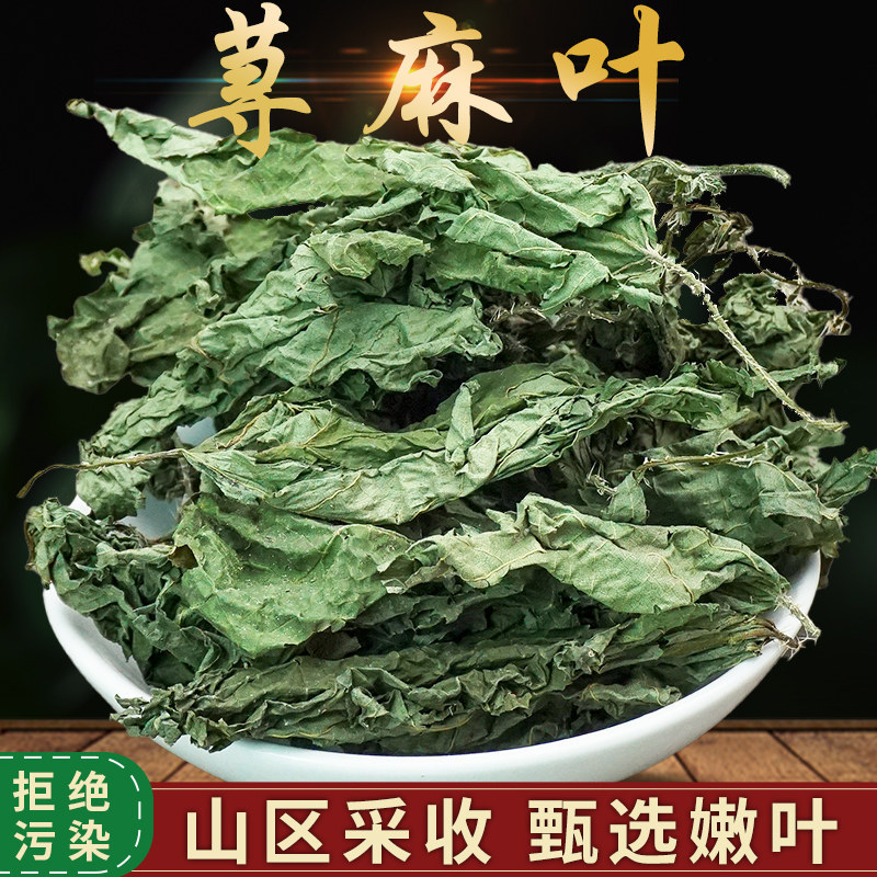 Wild Nettle Medicinal Leaves 500g Leaf Tea, Snake Nettle, Biting Scorpion Grass Wild Nettle Medicinal Leaves 500g Leaf Tea, Snake Nettle, Biting Scorpion Grass
