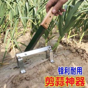 Special Scissors for Cutting Garlic, Garlic Cutting Machine, New Knife for Cutting Garlic Roots, Household Thickened Manganese Steel Express
