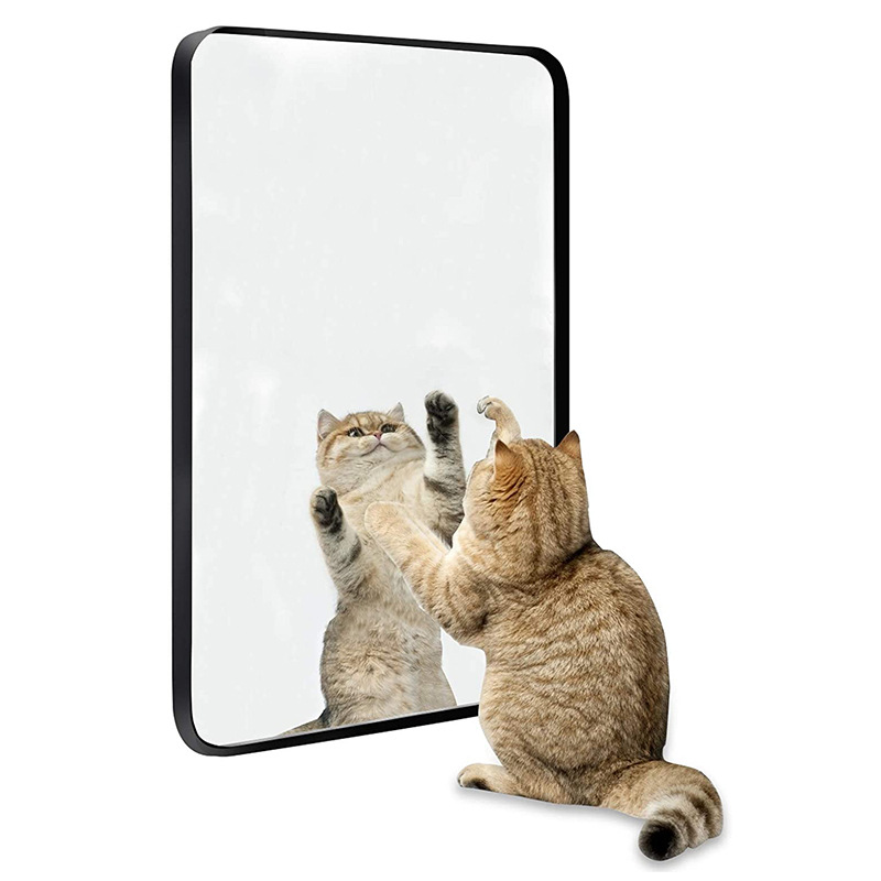 Wholesale DIY Wall Hanging Decorative Mirror Simple Bathroom Makeup Mirror Bedroom Dormitory Wall Hanging Dressing Mirror 