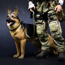 MR.ZȮ[1/6Ȯǹ֬ģͱk