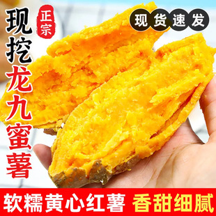 �����_���������������������r�S�ķ������ع�ܛŴ������ζ��ʳ