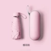Cherry Blossom Pink