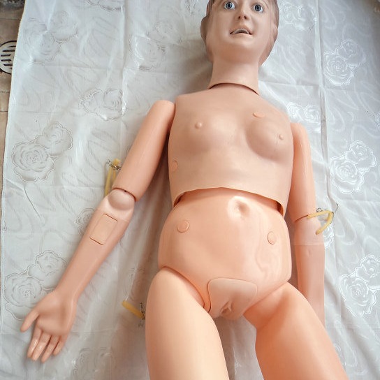 ��Ƥ��� Ů�Ի�������ģ�� ҽѧ����ģ���˻�ʿʵϰģ�� ����