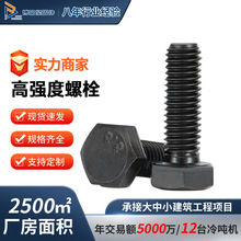 高强度外六角螺栓全扣半扣六角螺丝带平弹垫螺母一套钢结构螺栓